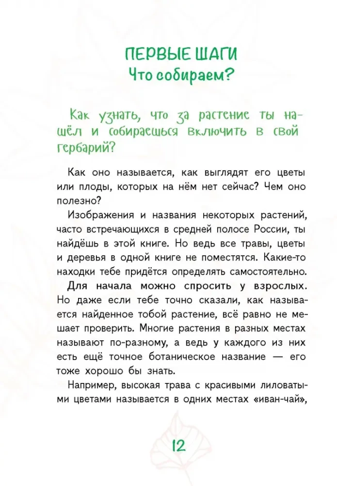 Лето на память. Моя первая коллекция растений
