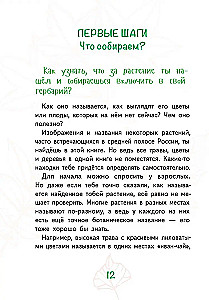 Лето на память. Моя первая коллекция растений