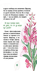 Лето на память. Моя первая коллекция растений