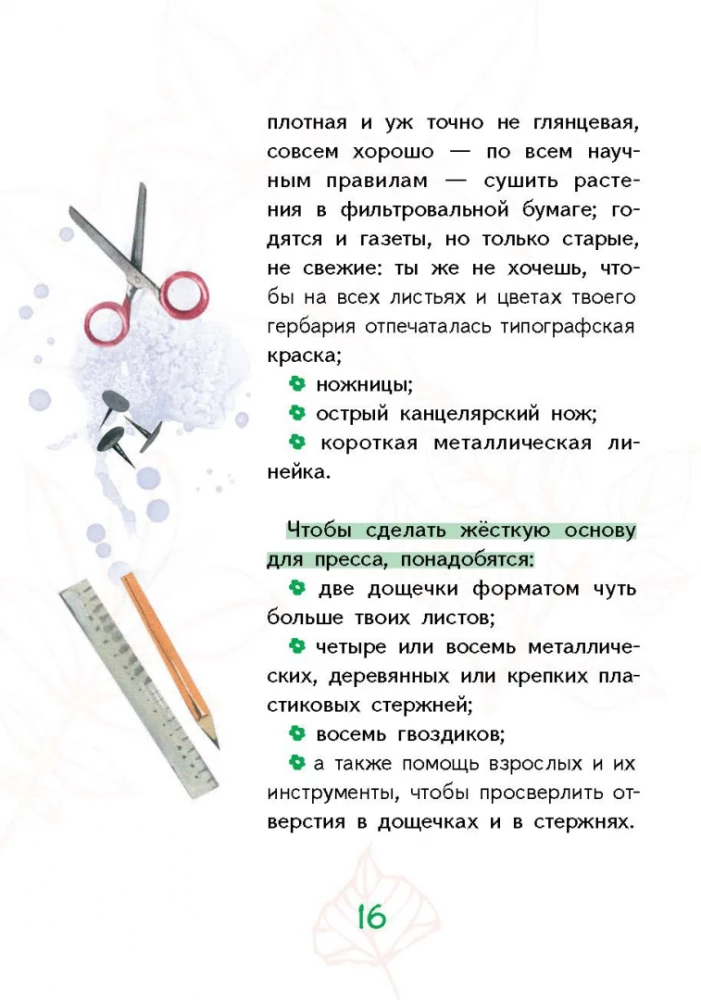 Лето на память. Моя первая коллекция растений