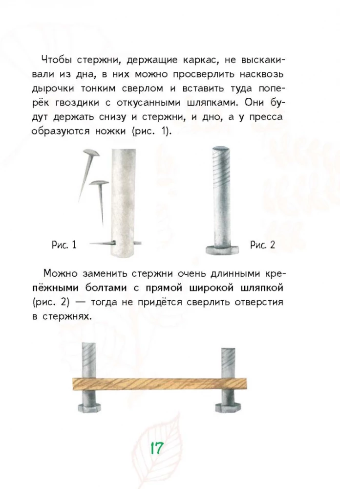 Лето на память. Моя первая коллекция растений