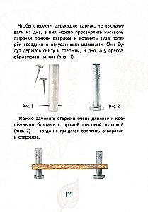Лето на память. Моя первая коллекция растений
