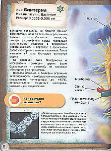 4D book "World Under the Microscope"