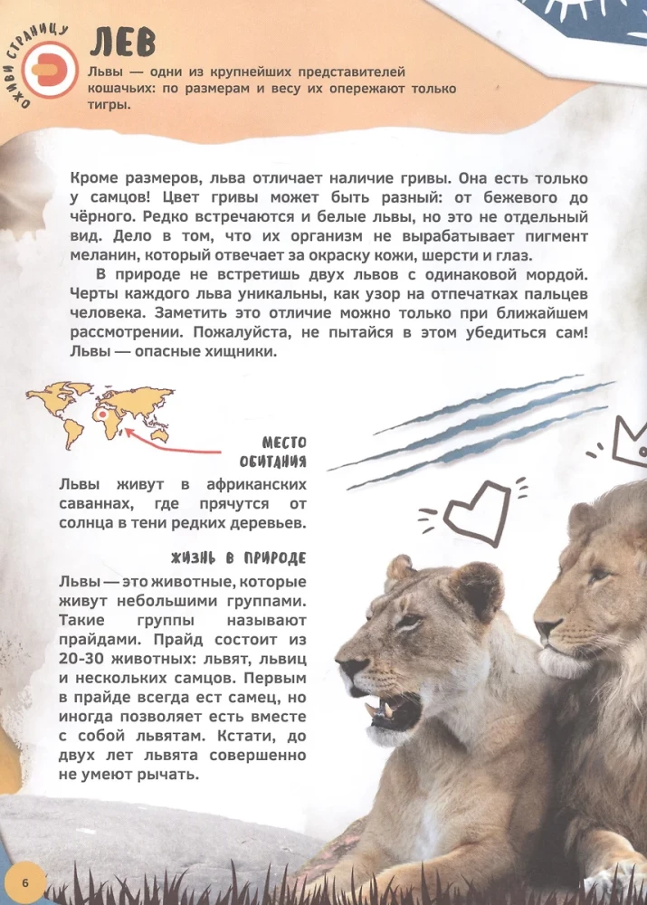 4D Encyclopedia in Augmented Reality - Meeting Animals