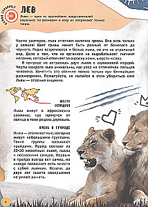 4D Encyclopedia in Augmented Reality - Meeting Animals