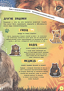 4D Encyclopedia in Augmented Reality - Meeting Animals