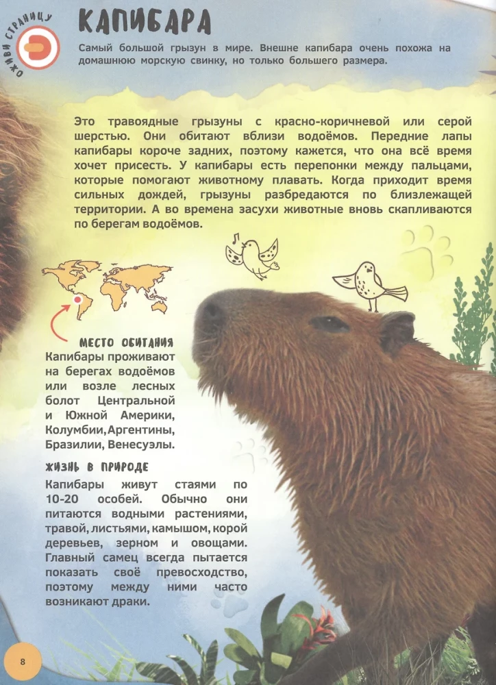 4D Encyclopedia in Augmented Reality - Meeting Animals