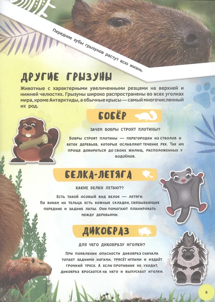 4D Encyclopedia in Augmented Reality - Meeting Animals