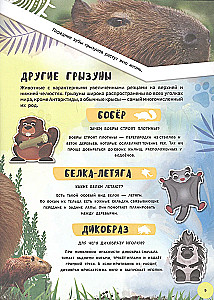 4D Encyclopedia in Augmented Reality - Meeting Animals