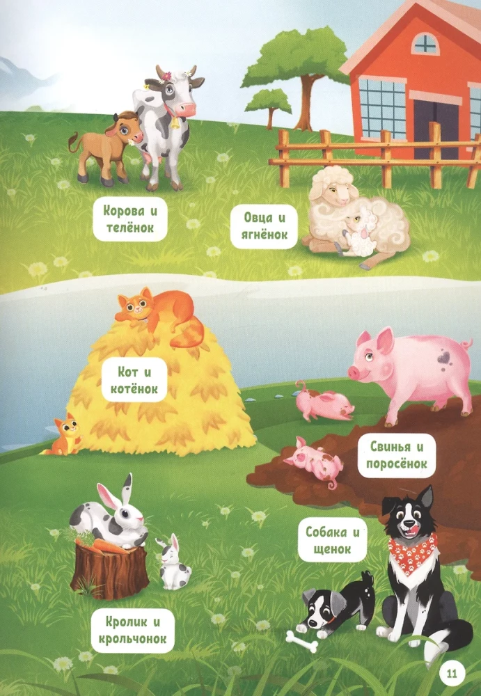 Pets. My First Encyclopedia in Augmented Reality