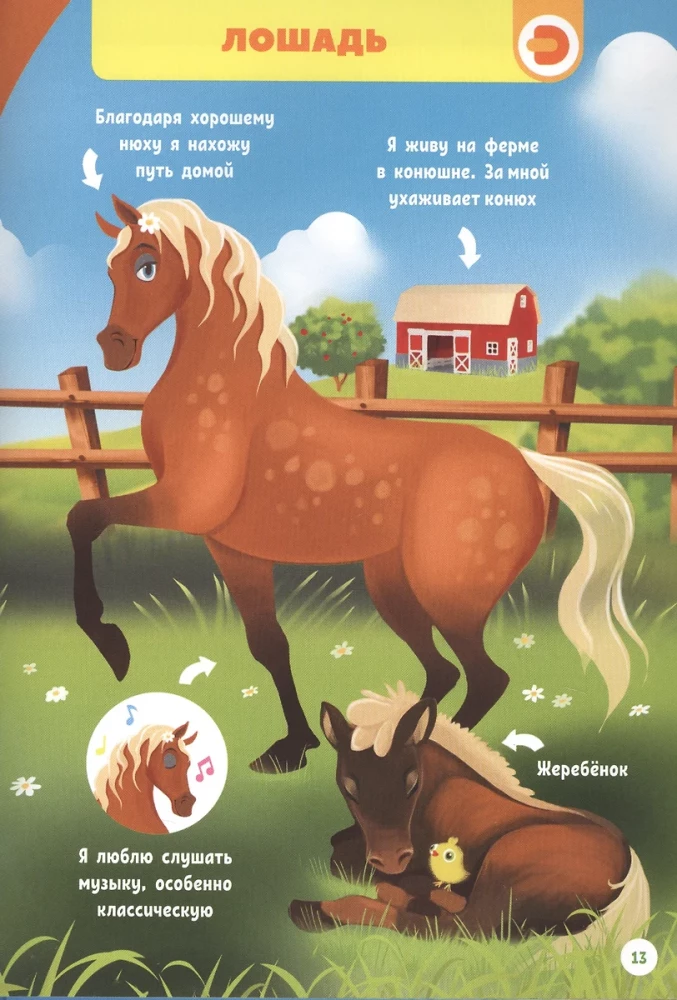 Pets. My First Encyclopedia in Augmented Reality