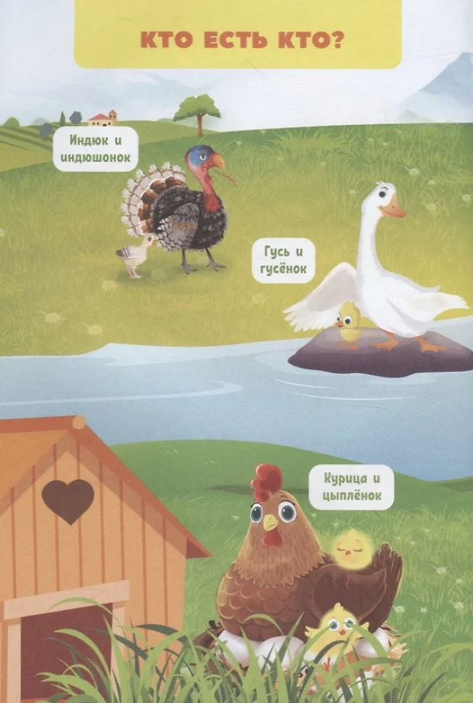 What do animals think about?
