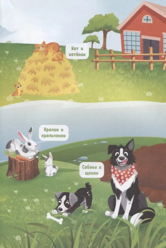 What do animals think about?