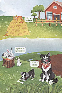 What do animals think about?