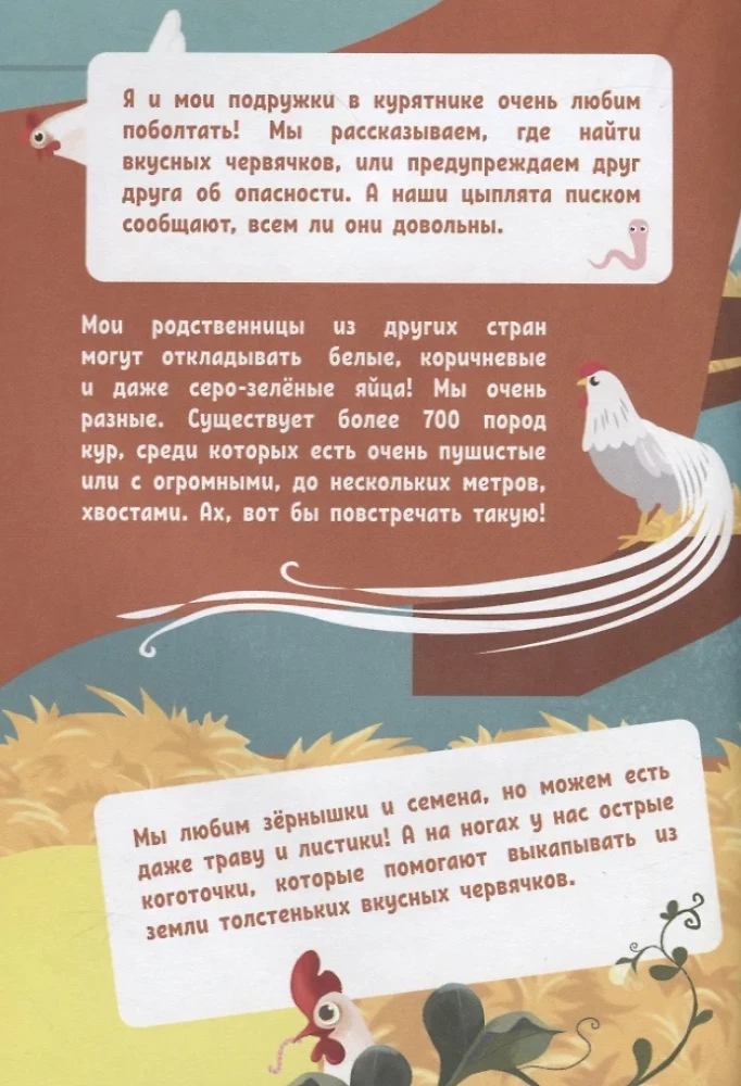 What do animals think about?