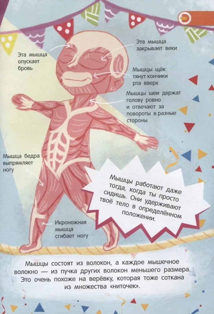 4D mini-encyclopedia About What the Heart Beats
