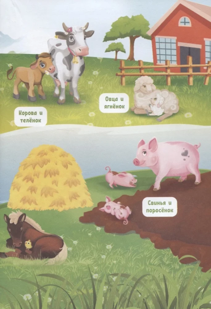 What do animals talk about?