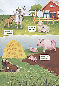 What do animals talk about?
