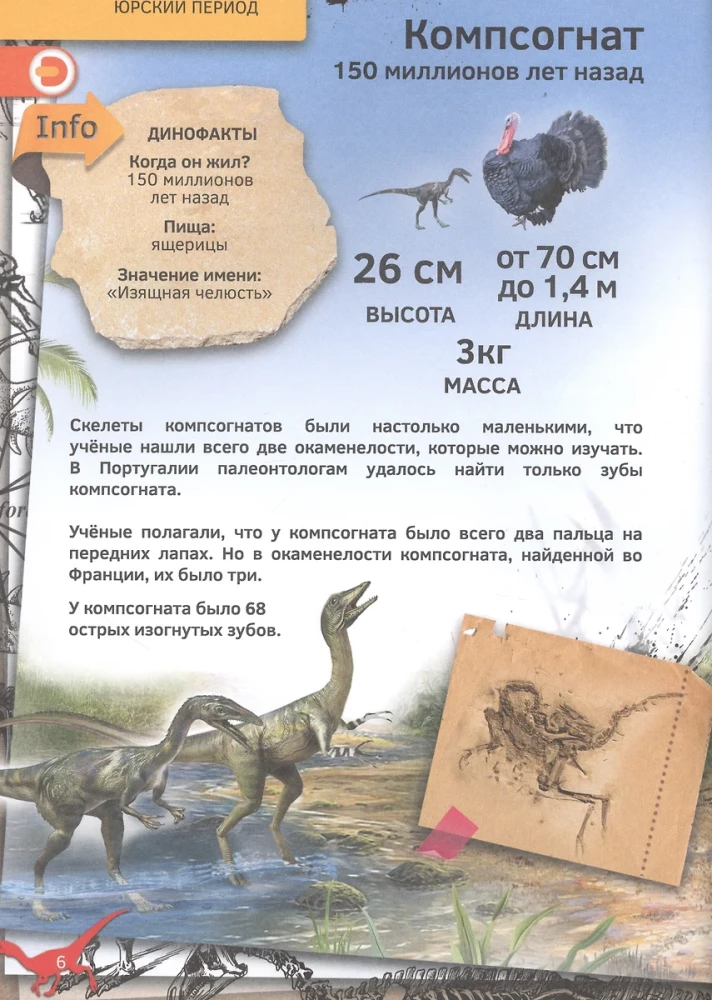 Bekanntschaft mit Dinosauriern. 4D Buch