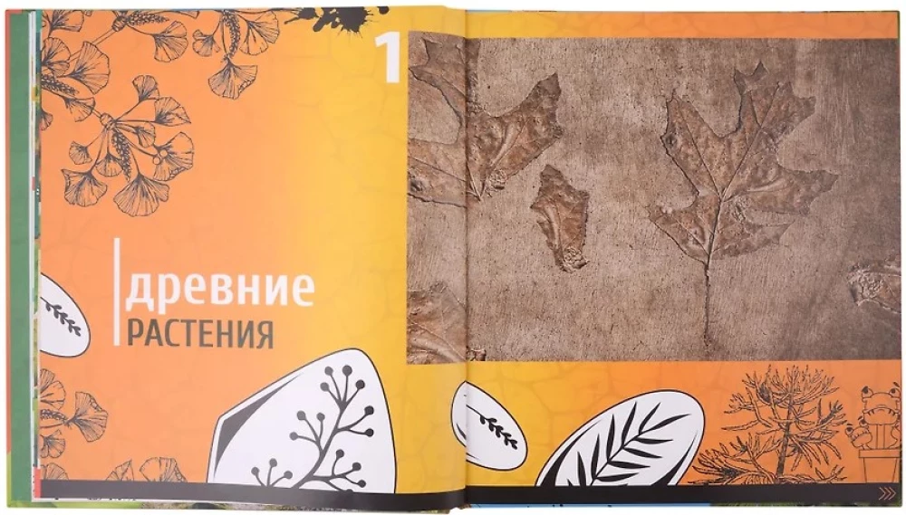 Living Encyclopedia. WOW! Plants in Augmented Reality