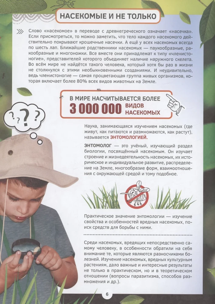 Familiarization with Insects and Other Arthropods