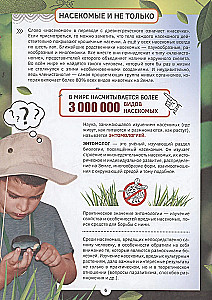 Familiarization with Insects and Other Arthropods
