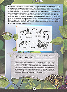 Familiarization with Insects and Other Arthropods