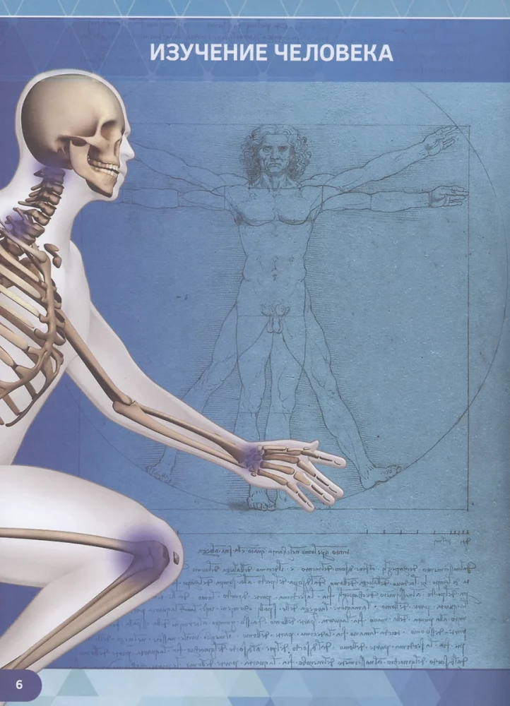 Human Anatomy