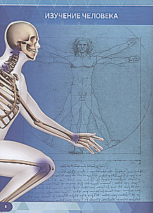 Human Anatomy