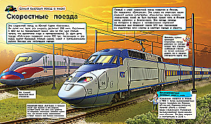 Trains and Buses