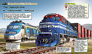 Trains and Buses