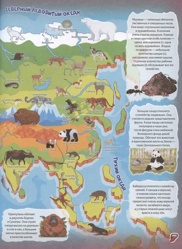 Animals