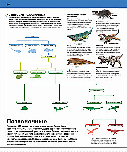Dinosaurs. The Most Complete Modern Encyclopedia