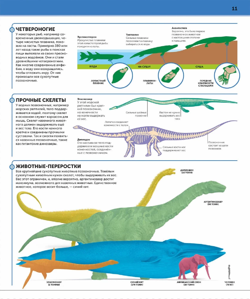 Dinosaurs. The Most Complete Modern Encyclopedia