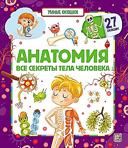 Умные окошки. Анатомия