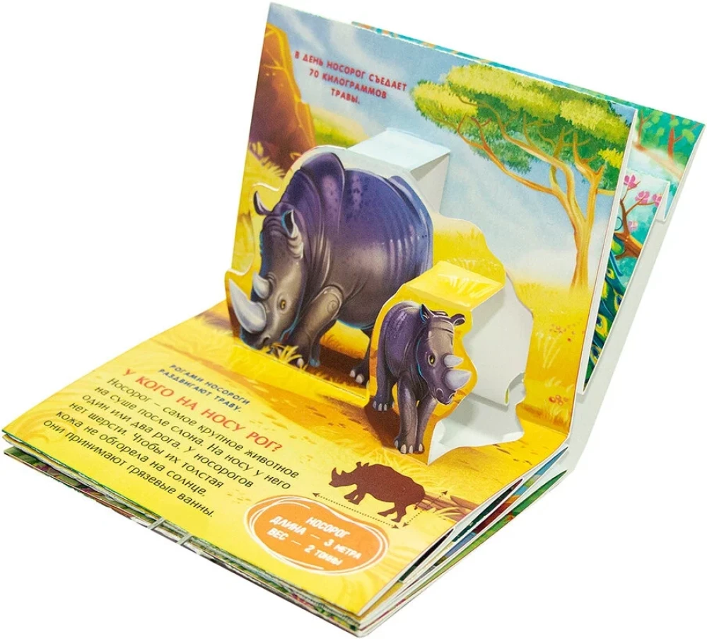Collection of Pocket POP-UP Encyclopedias