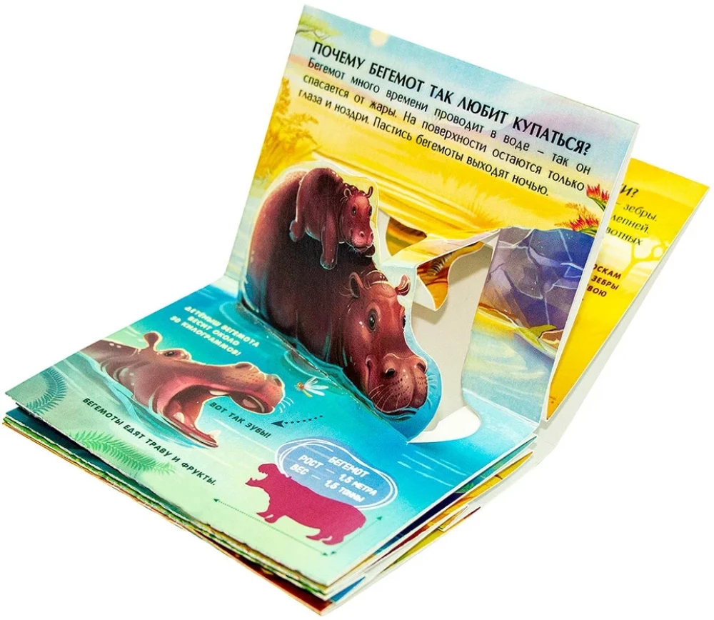 Collection of Pocket POP-UP Encyclopedias
