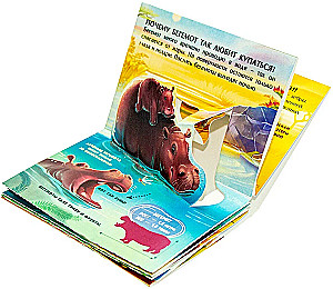 Collection of Pocket POP-UP Encyclopedias
