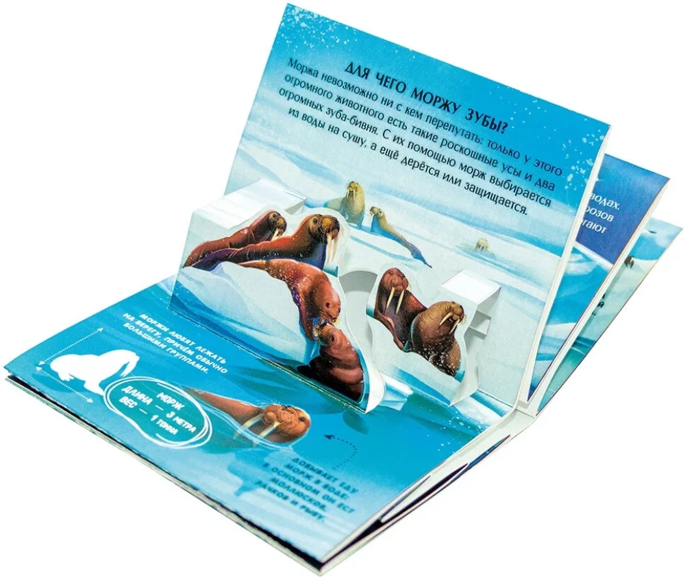 Collection of Pocket POP-UP Encyclopedias