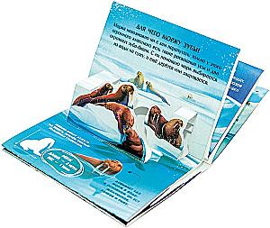 Collection of Pocket POP-UP Encyclopedias