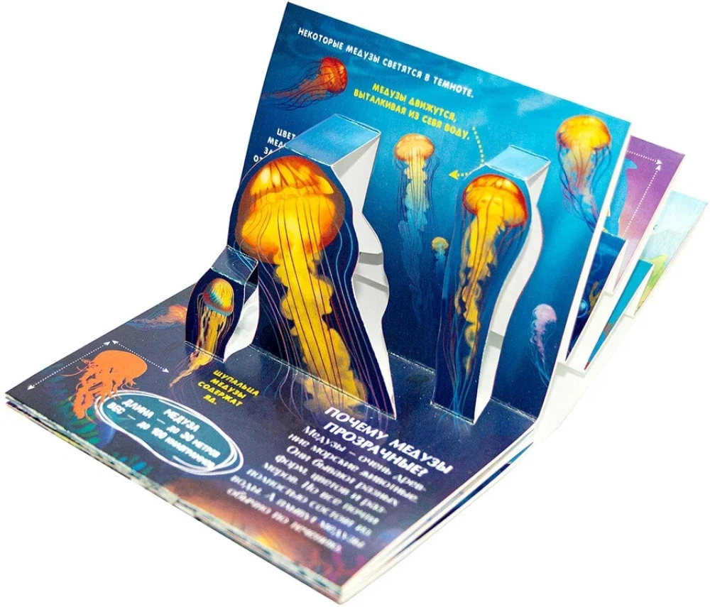 Collection of Pocket POP-UP Encyclopedias