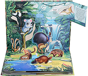 POP-UP Encyclopedia. Jungle Panoramic Book