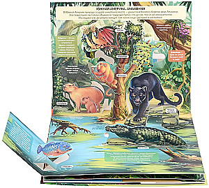 POP-UP Encyclopedia. Jungle Panoramic Book