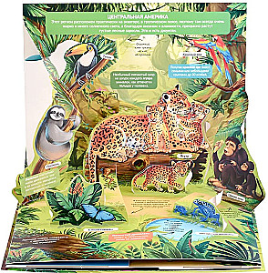 POP-UP Encyclopedia. Jungle Panoramic Book