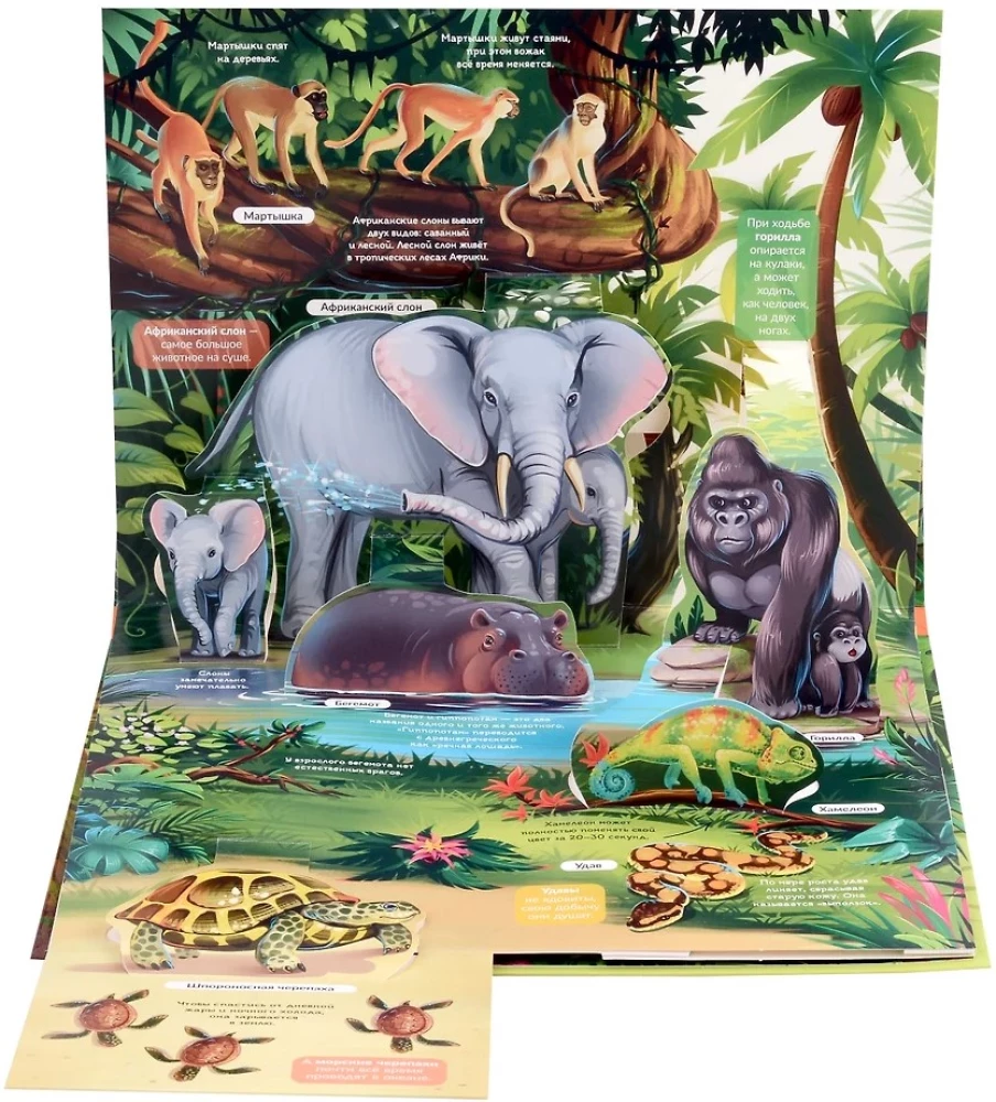 POP-UP Encyclopedia. Jungle Panoramic Book