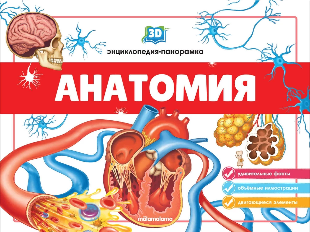 3D Encyclopedia-Panorama. Anatomy