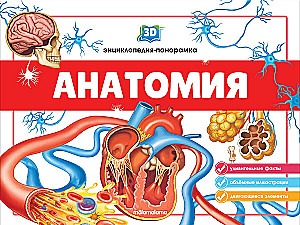 3D Encyclopedia-Panorama. Anatomy