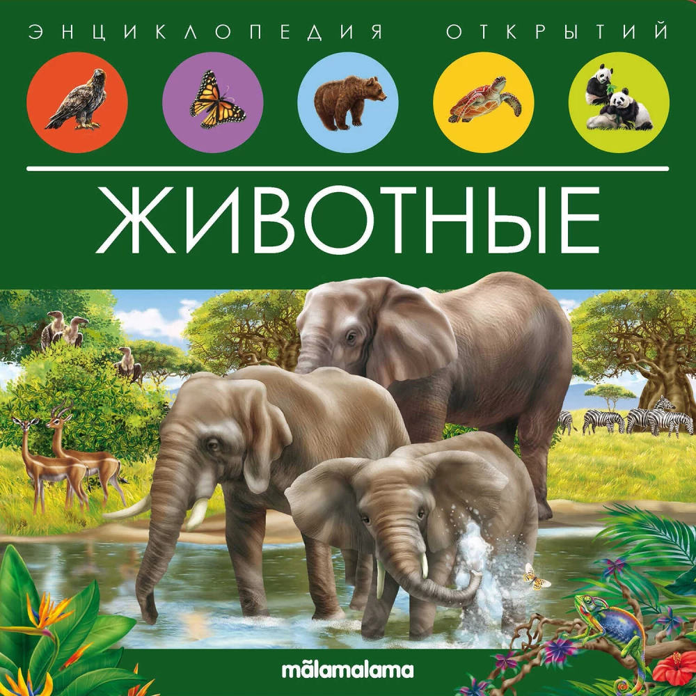 Animals