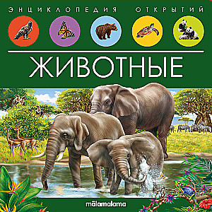 Animals