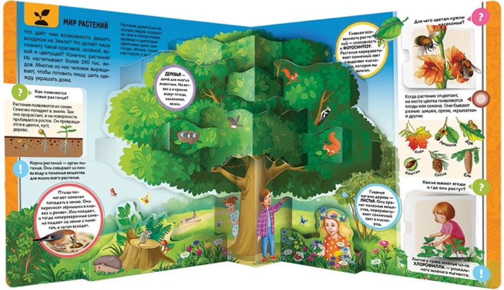 Our World. Encyclopedia of Discoveries